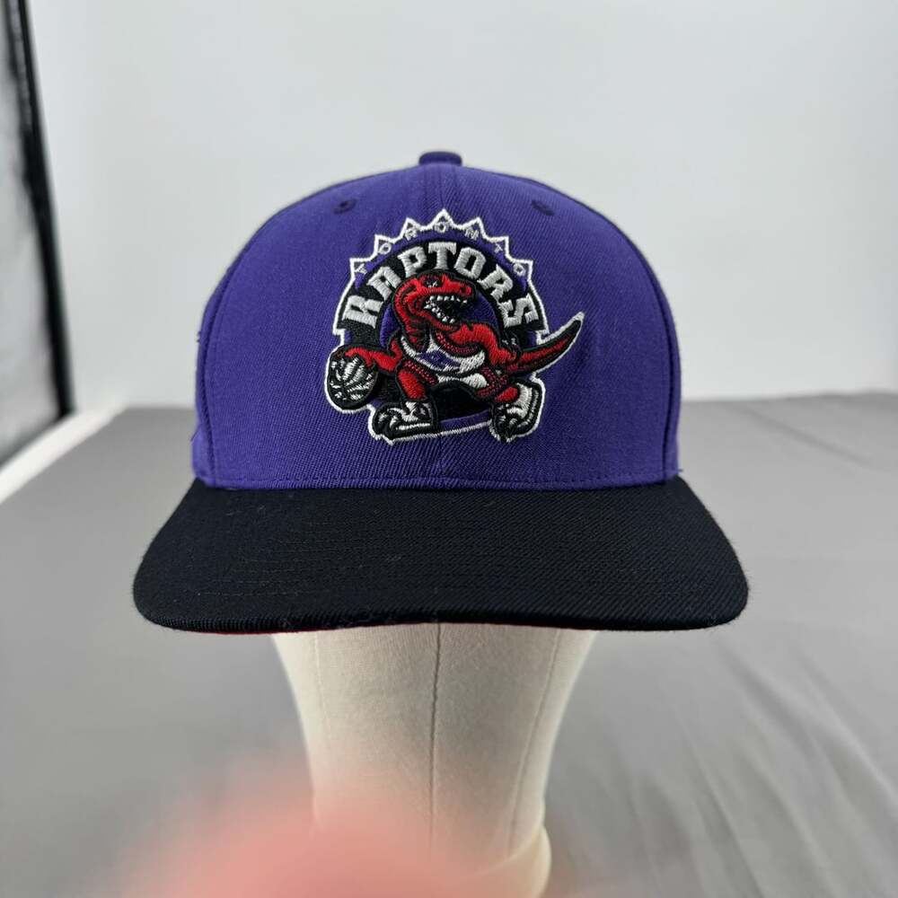 Mitchell & Ness Toronto Raptors Hardwood Classics 2-Tone Dino Logo Snapback